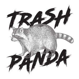 trash panda raccoon mountain awesomesauce